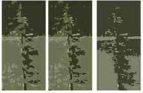    Trace Bitmap   