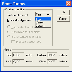Диалоговое окно Frame Options